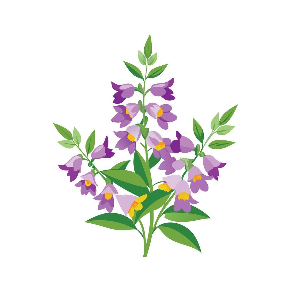 Vibrant Angelonia Floral Nature Art vector