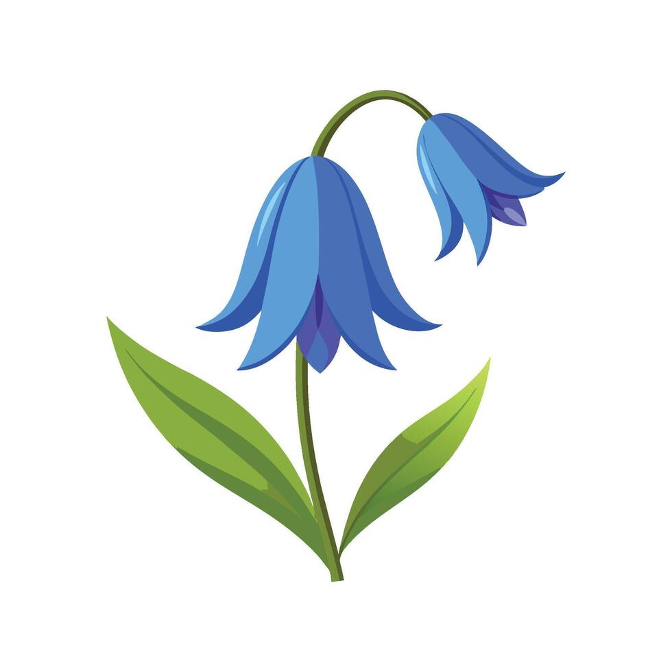 Elegant Annual Bluebell Flower Nature Artwork vector