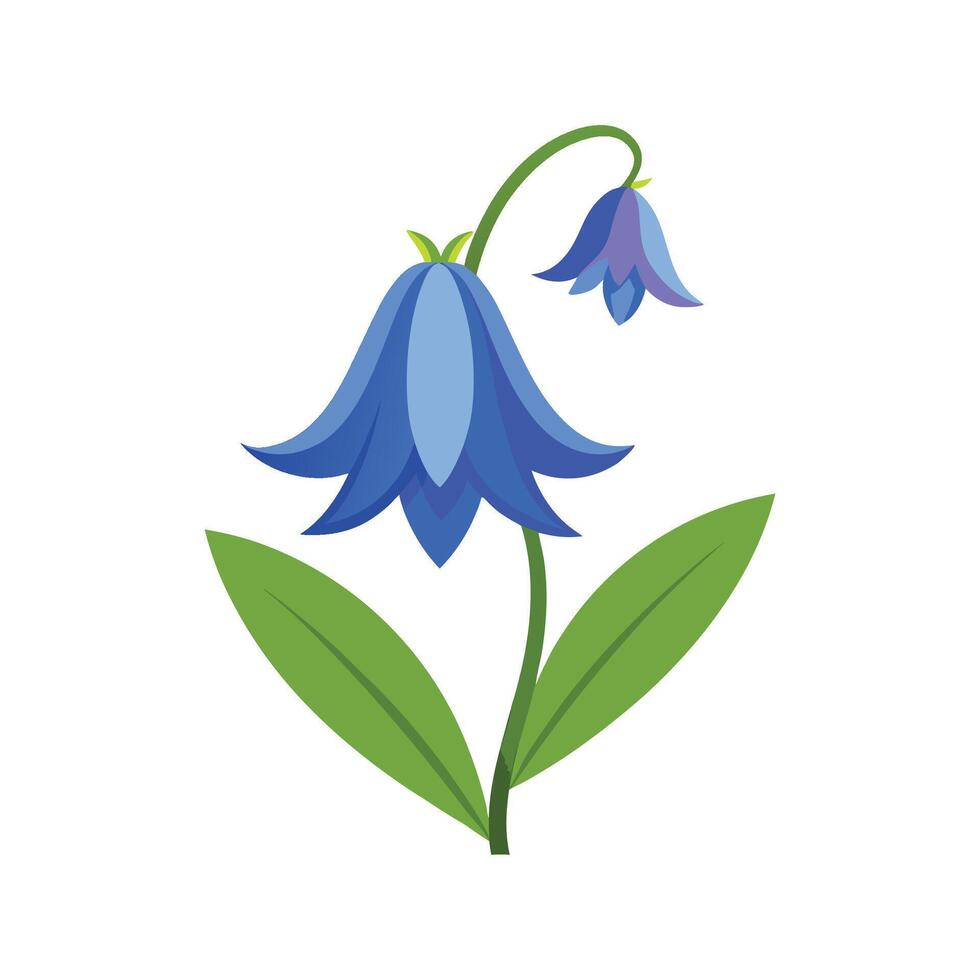 Vibrant Annual Bluebell Flower Design vector
