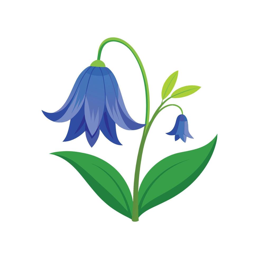 Charming Annual Bluebell Floral Design Art vector