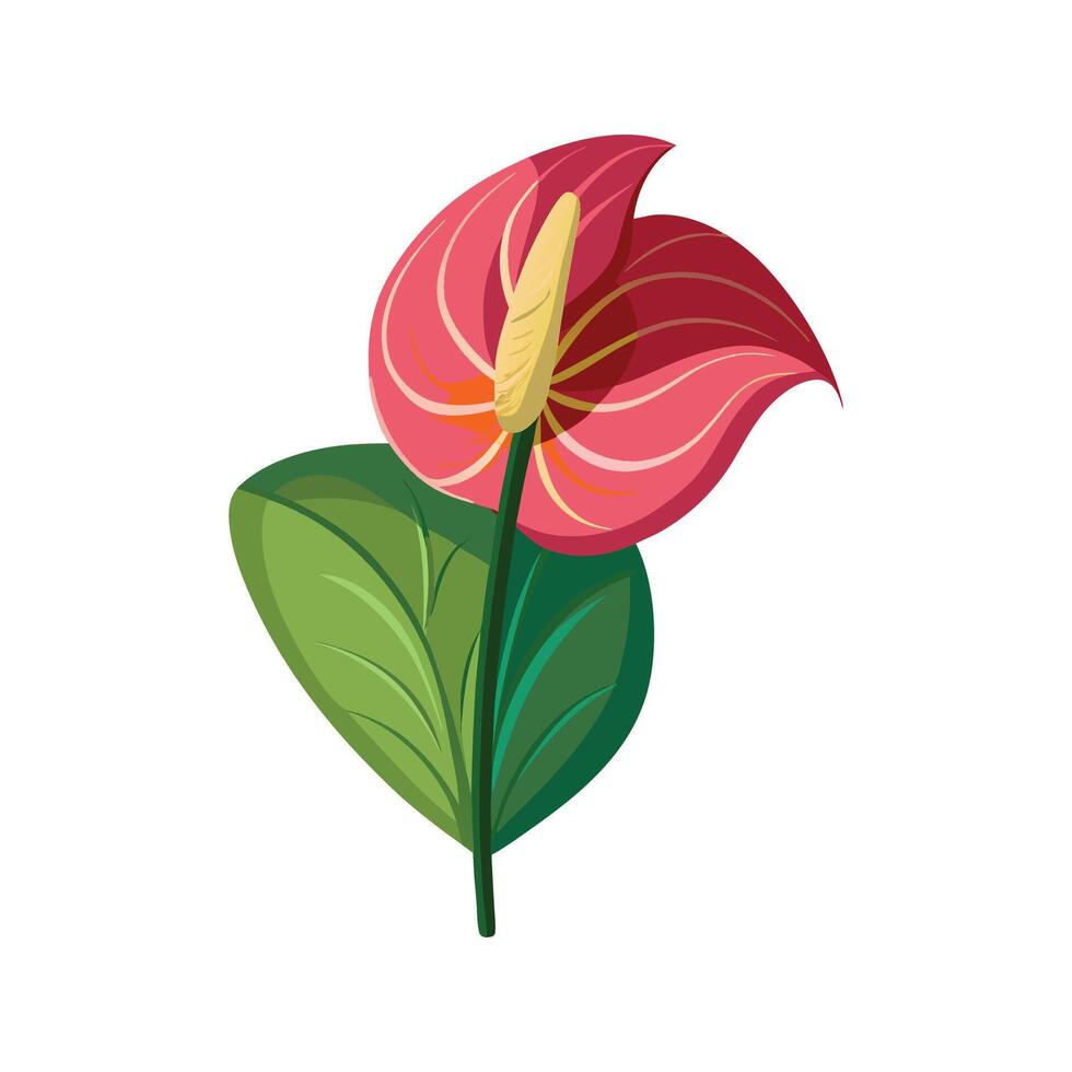Charming Anthurium Floral Design Art vector