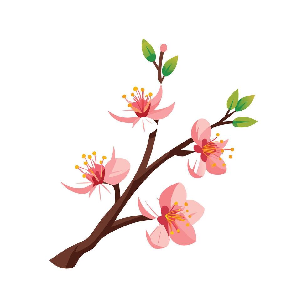 Stylish Apricot Blossom Nature Design vector