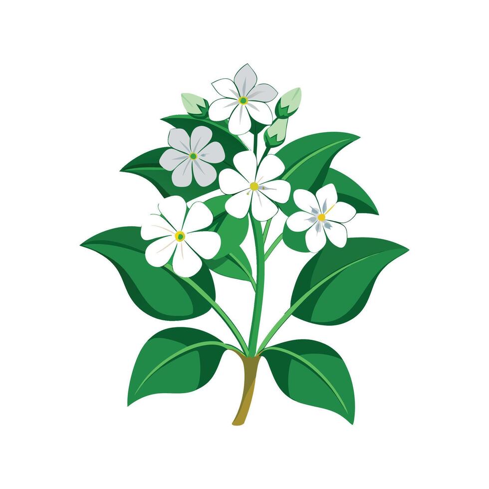 Stylish Arabis Flower Design Art vector