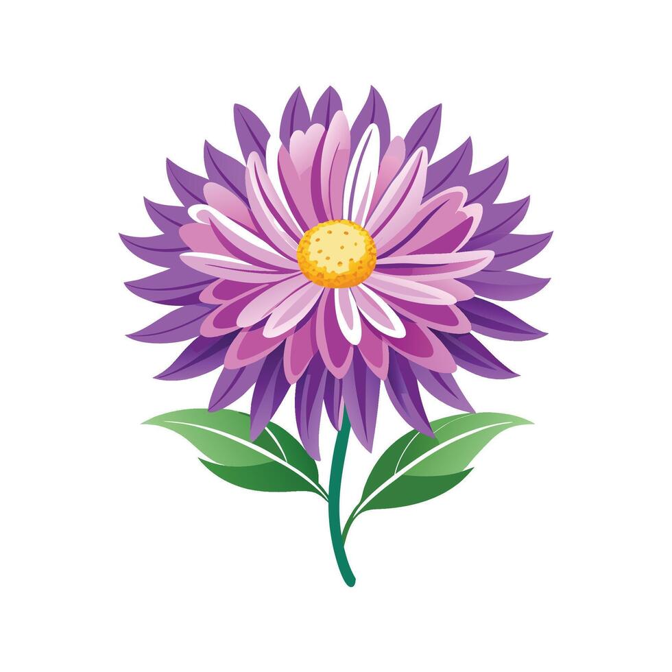 Vibrant Aster Flower Design Art vector