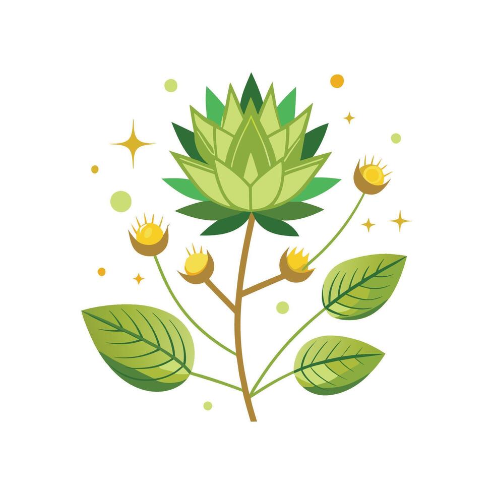 Beautiful Astroloba Flower Nature Design vector