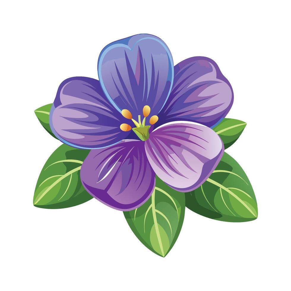 Charming Aubrieta Flower Design Art vector