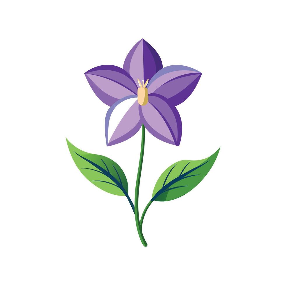 Charming Baloon Flower Plant Design vector