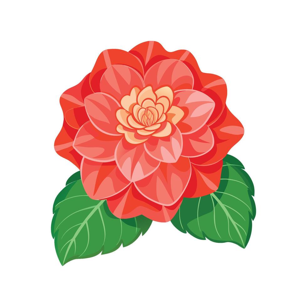 Charming Begonia Flower Nature Artwork vector
