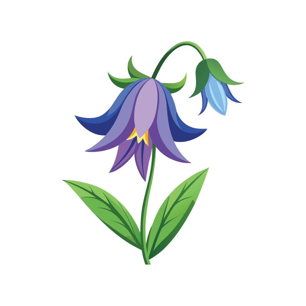 Elegant Bellflower Flower Nature Artwork vector