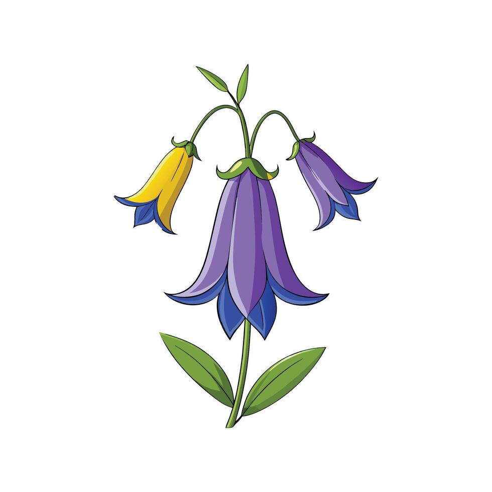 Stylish Bellflower Flower Design Art vector