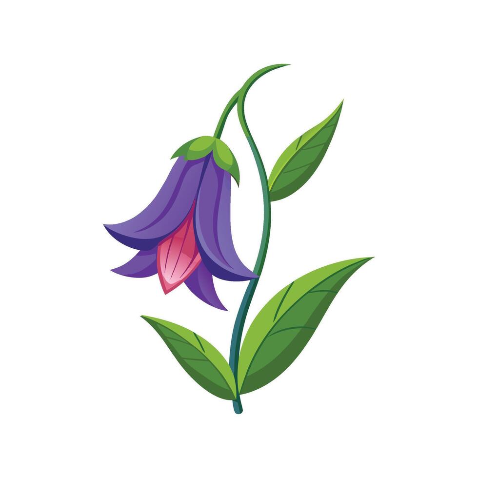 Beautiful Bellflower Plant Design vector