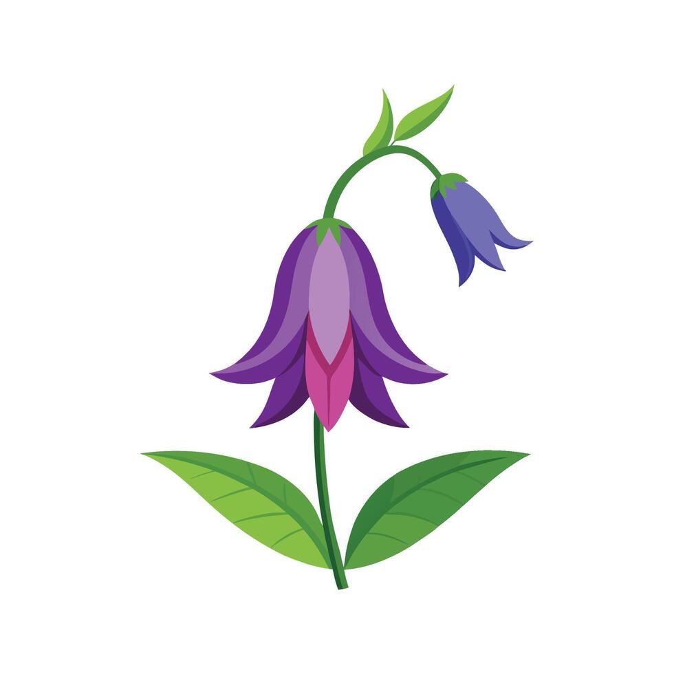Vibrant Bellflower Floral Design Art vector