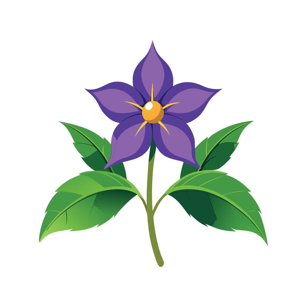 Captivating Borage Flower Design vector