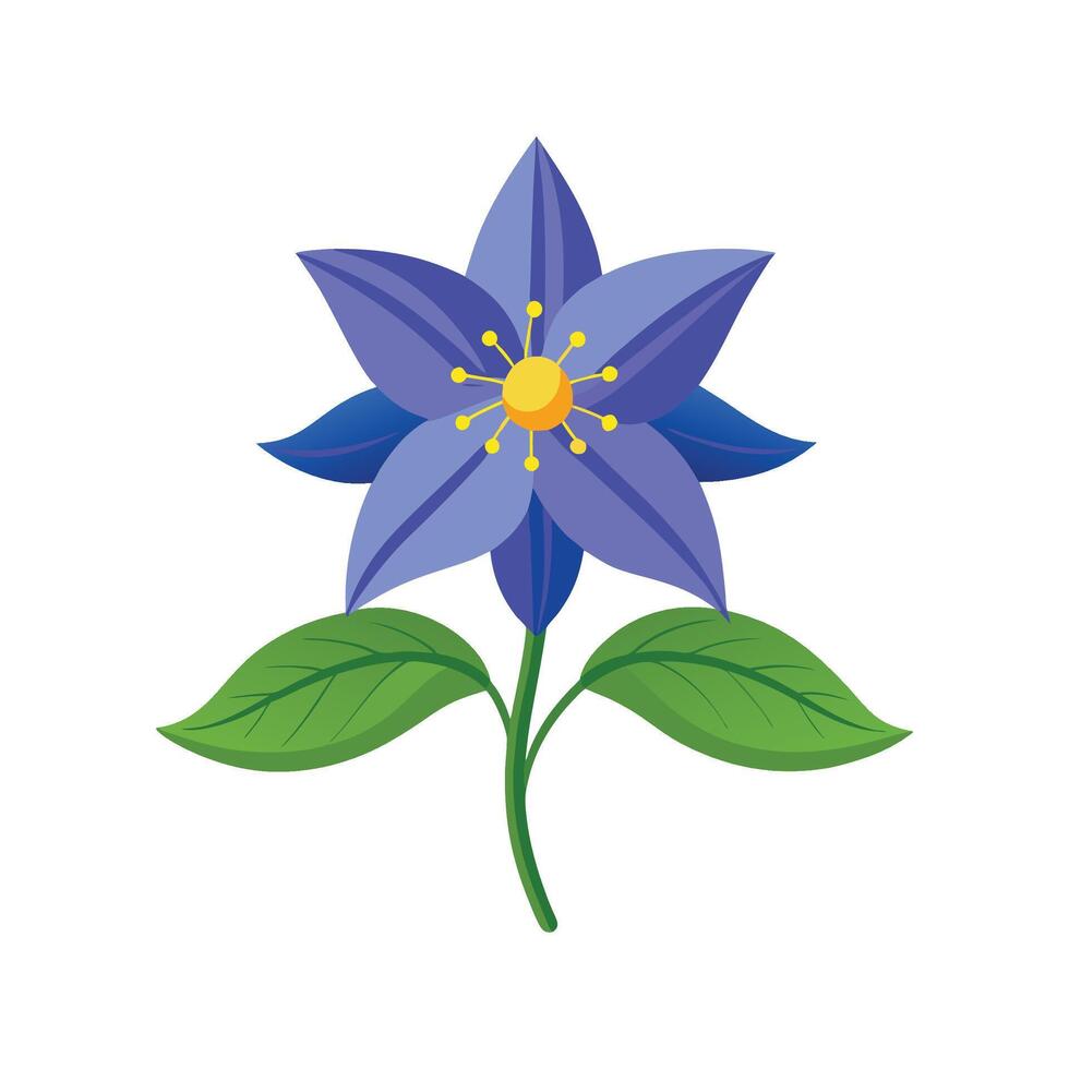 Artistic Representation of Borage Flower vector