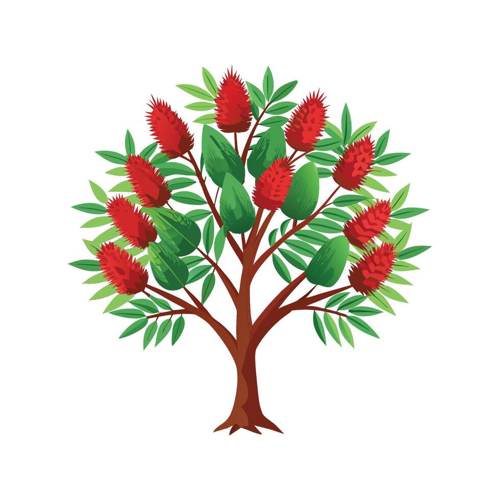 Vivid Bottlebrush Flower Design vector