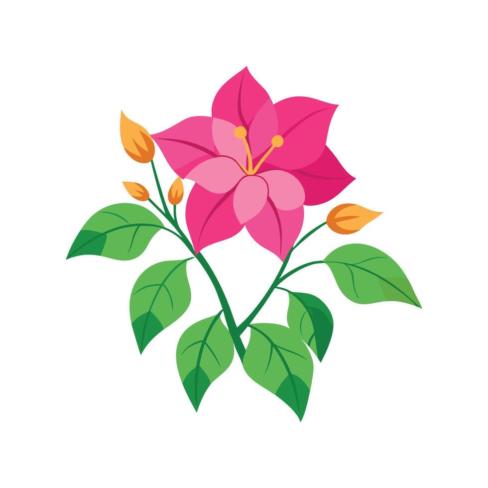 Elegant Bougainvillea Floral Design vector