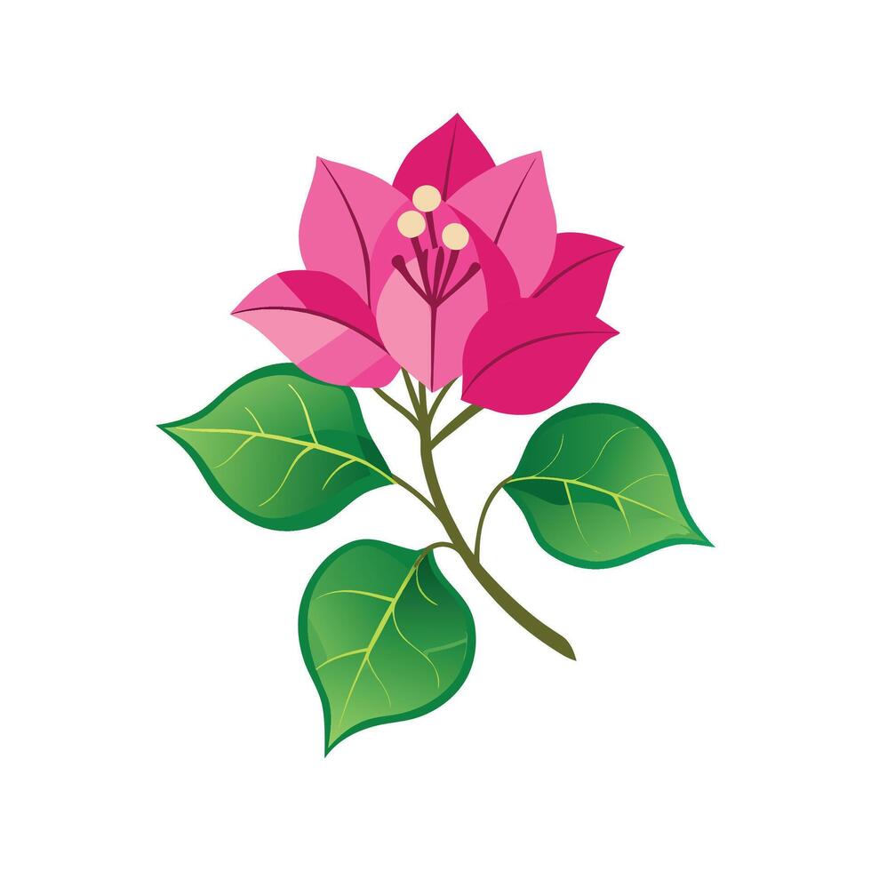 Stunning Bougainvillea Flower Artwork vector