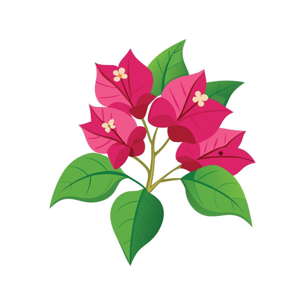 Elegant Bougainvillea Design Artwork vector