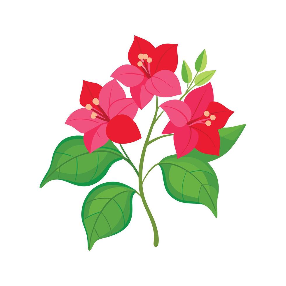 Charming Bougainvillea Floral Artwork vector