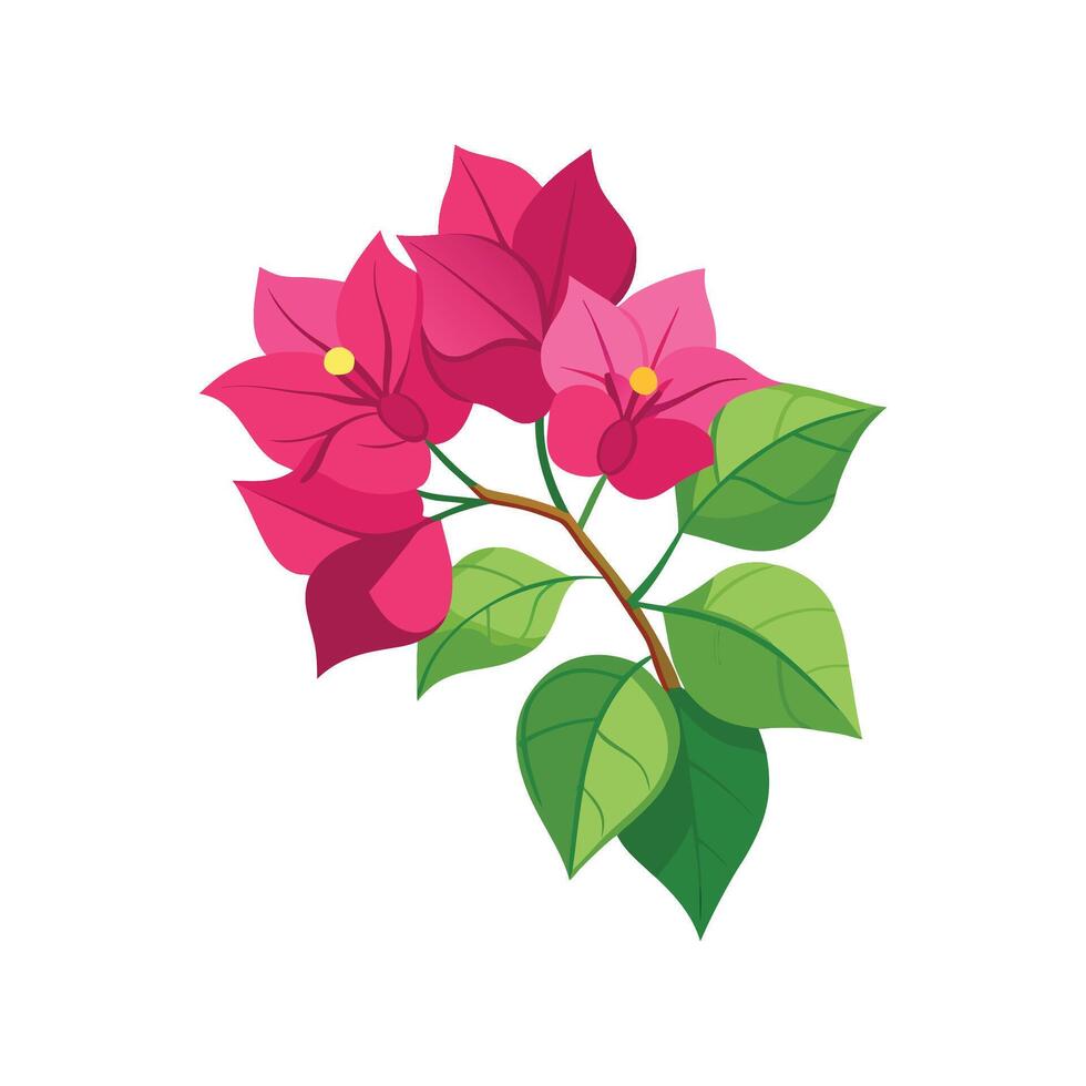Beautiful Bougainvillea Flower Artwork vector