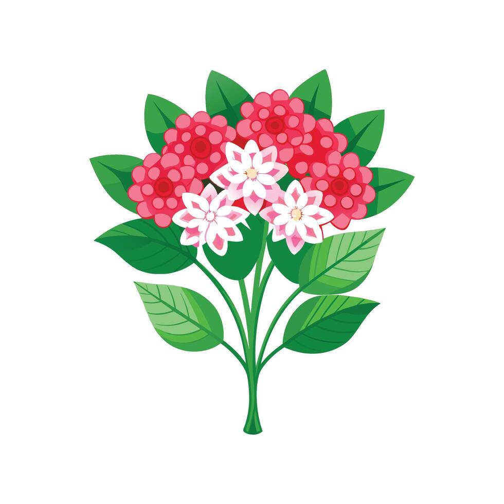 Vibrant Bouvardia Floral Design vector