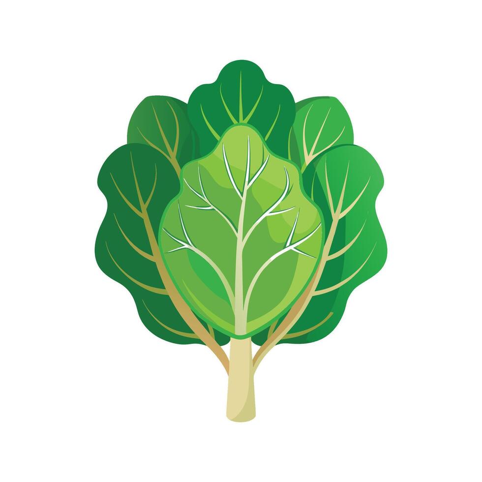 Charming Brassica Flower Artwork vector