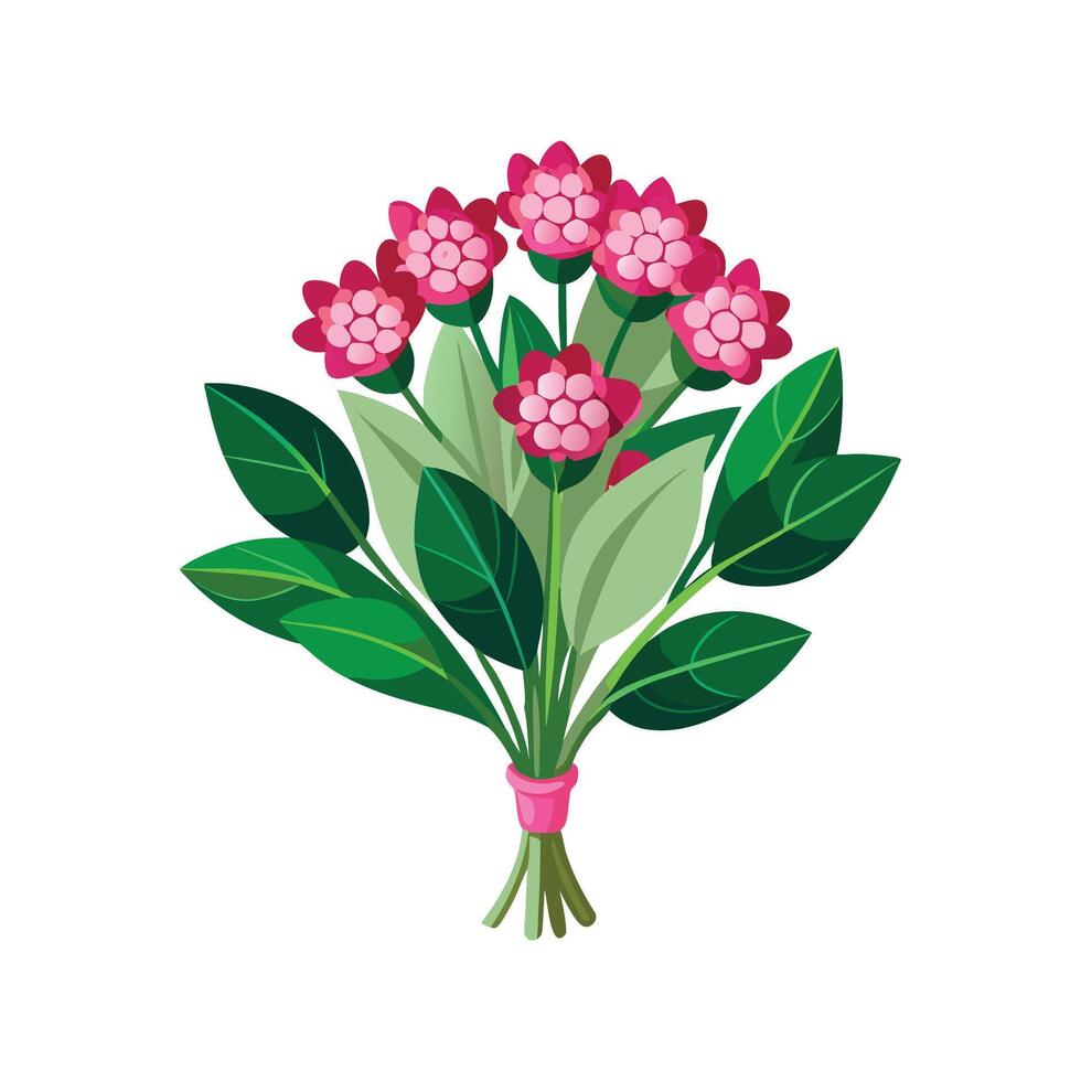 Elegant Bouvardia Floral Art vector