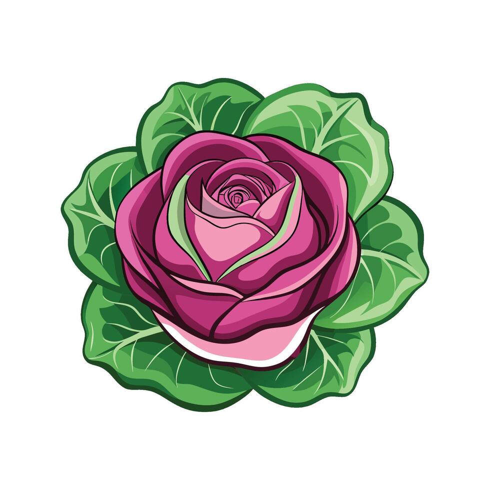 Stylish Cabbage Rose Plant Design vector