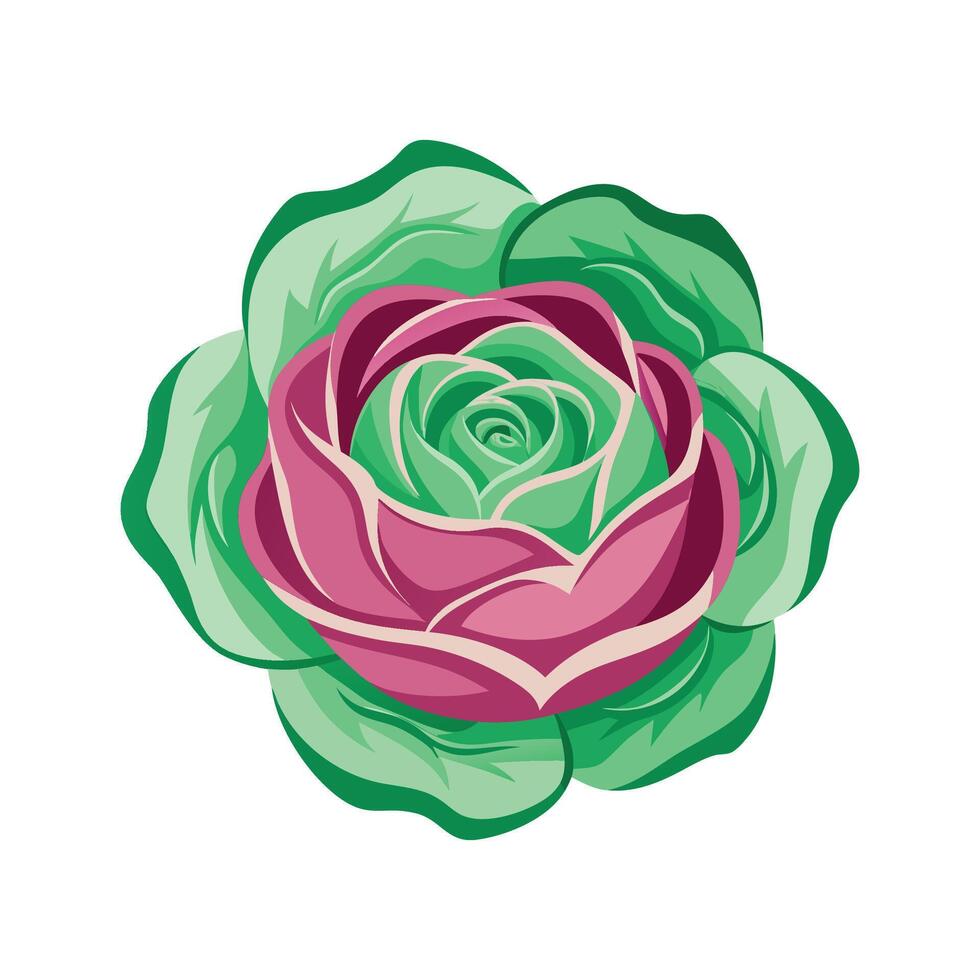 Elegant Cabbage Rose Floral Design vector