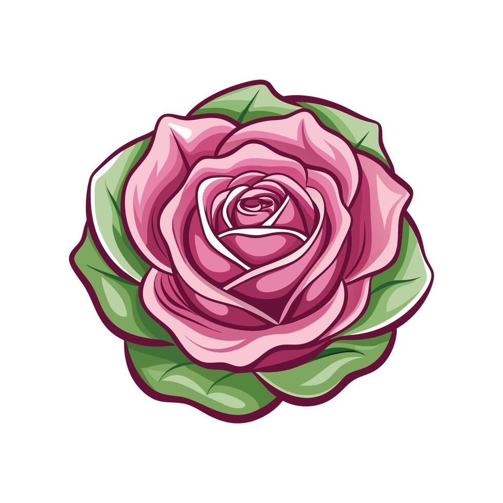 Charming Cabbage Rose Flower Artwork vector