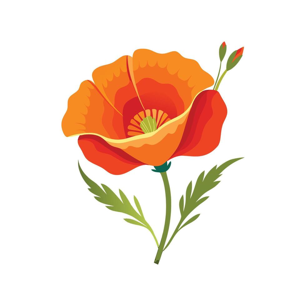 Beautiful California Poppy Art vector