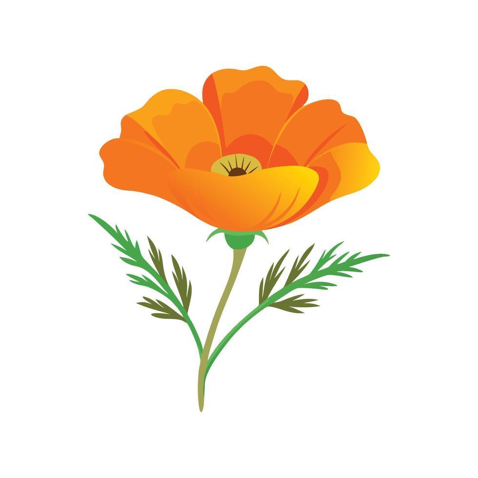 Elegant California Poppy Floral Design vector