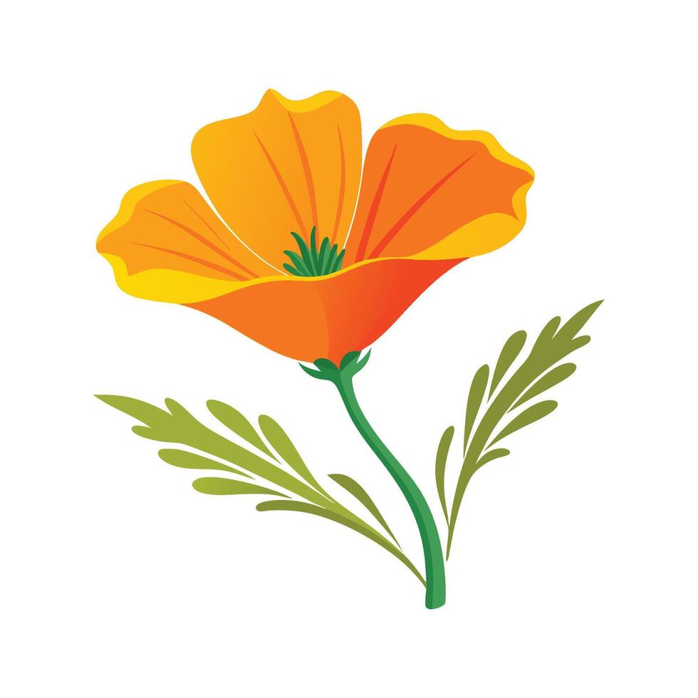 Artistic Representation of California Poppy vector