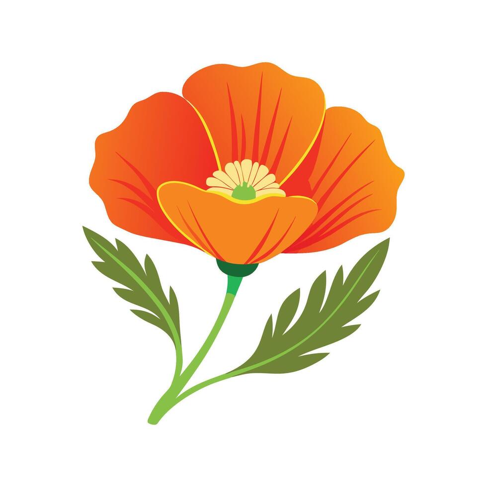 Captivating California Poppy Flower Artwork vector