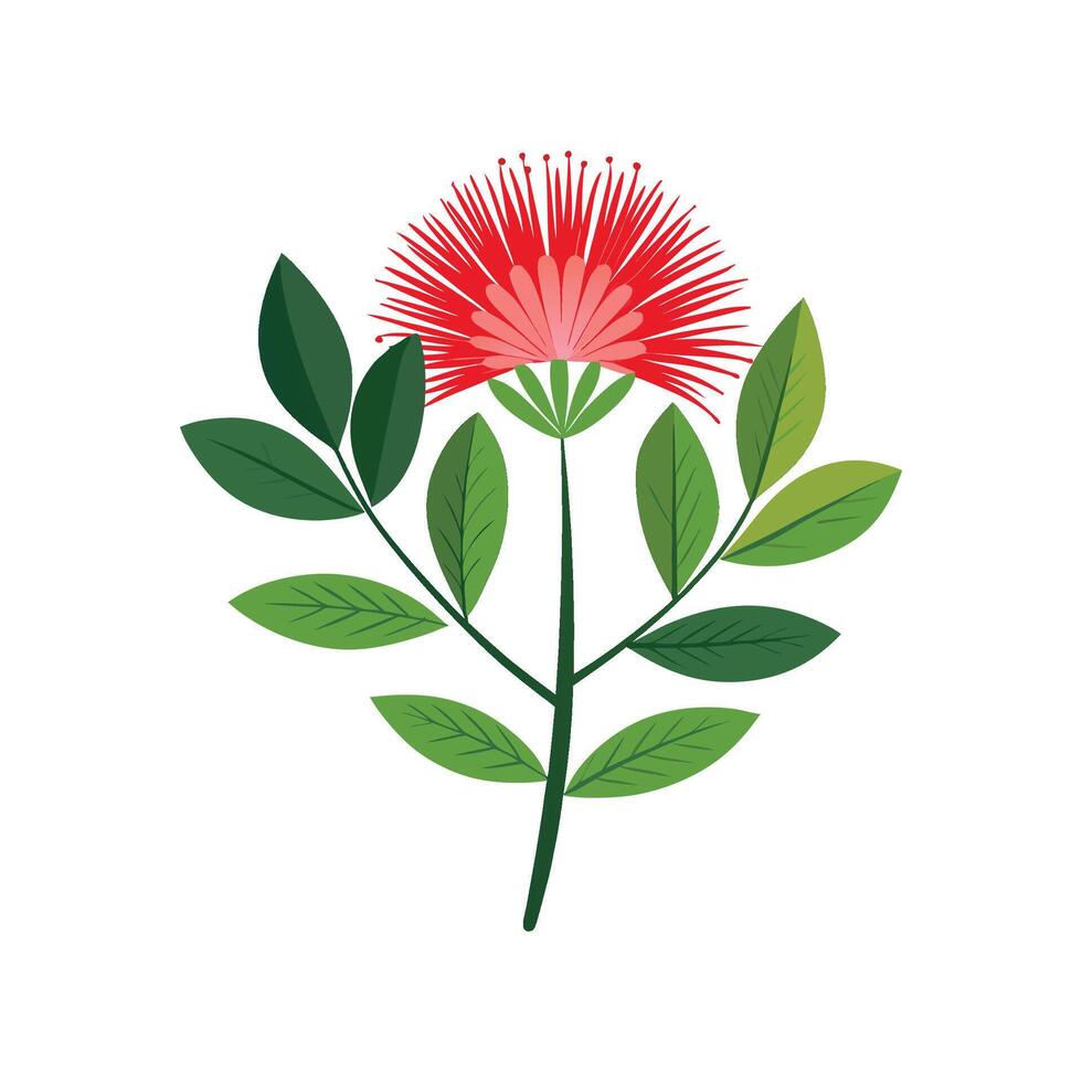 Stunning Calliandra Floral Illustration vector