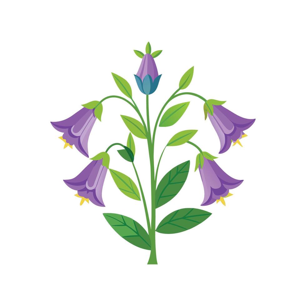 Charming Canterbury Bells Floral vector