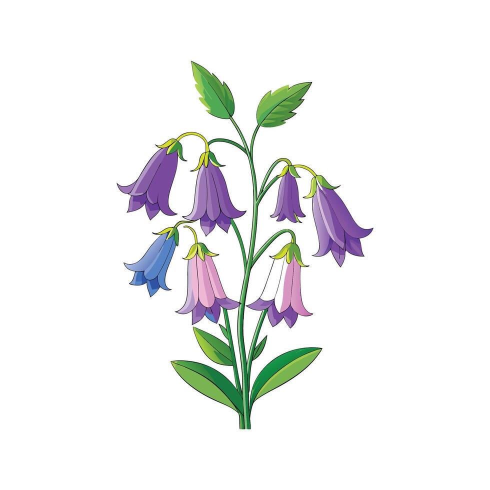 Elegant Canterbury Bells Floral Design vector