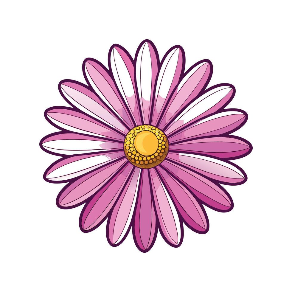 Charming Cape Daisy Plant Design vector