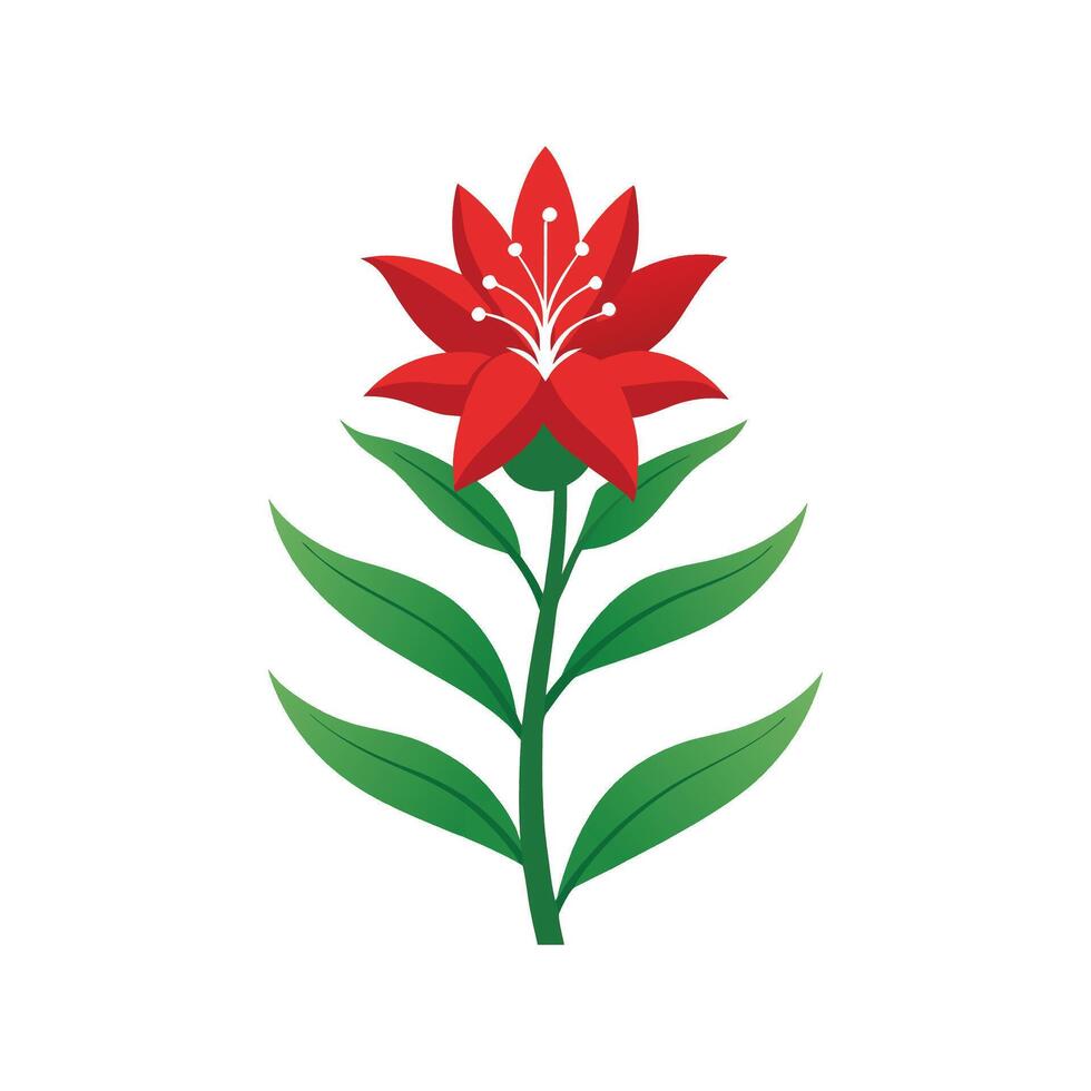 Charming Cardinal Flower Floral vector