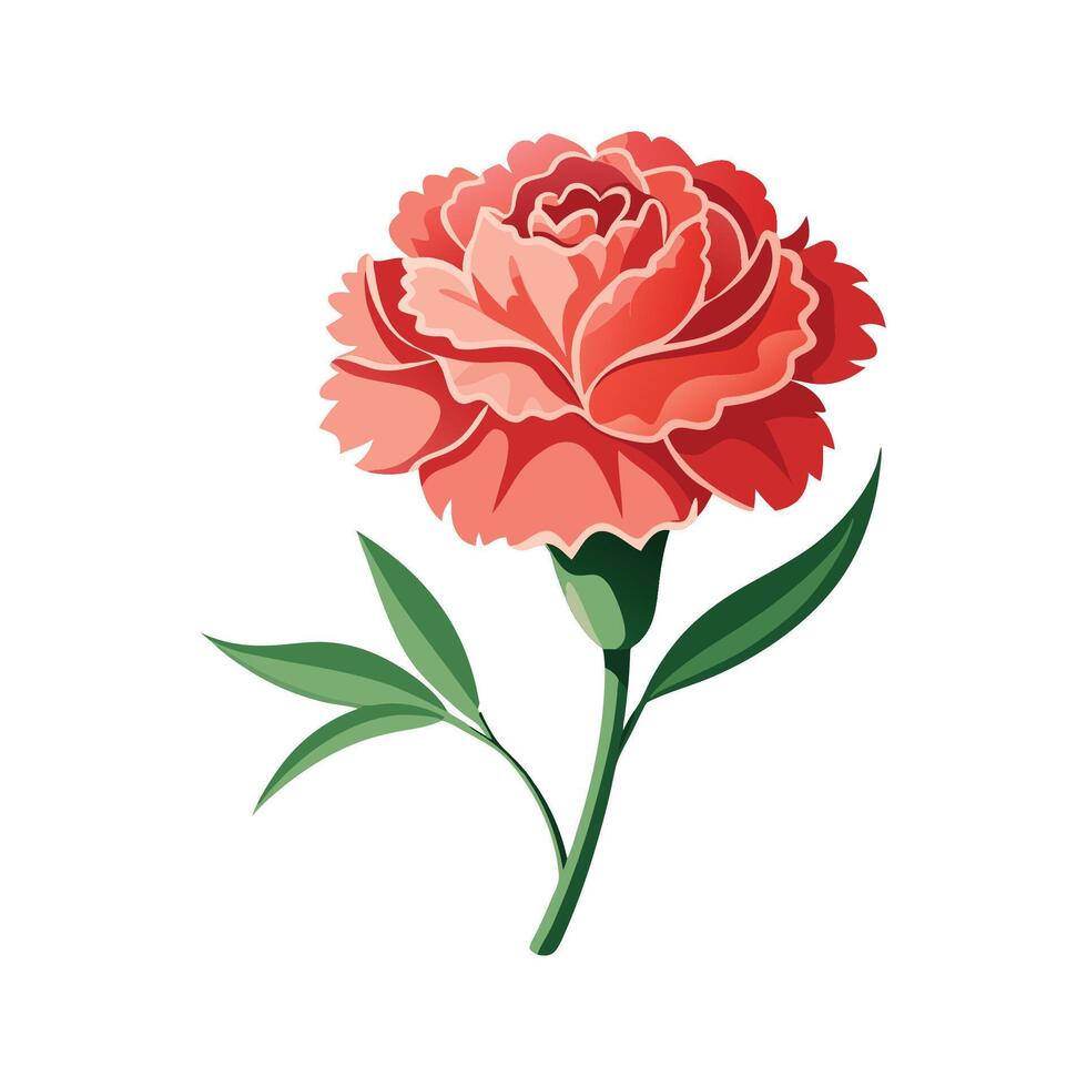 Lovely Carnation Flower Art vector