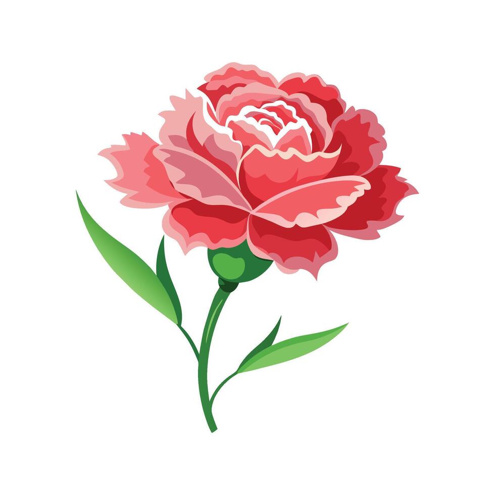 Charming Carnation Plant Design vector