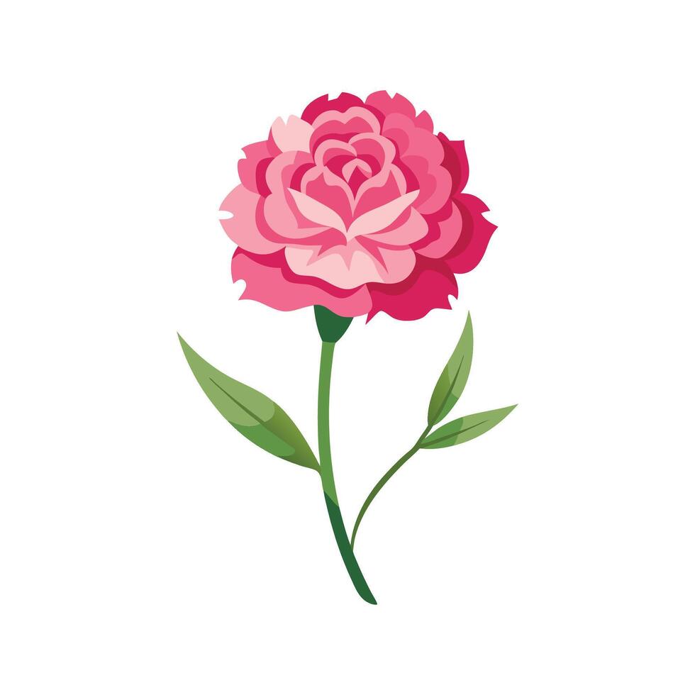 Charming Pink Carnation Floral Artwork vector