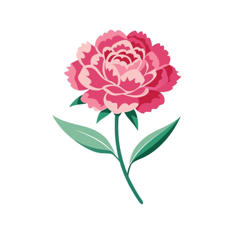 Stylish Pink Carnation Plant Design vector
