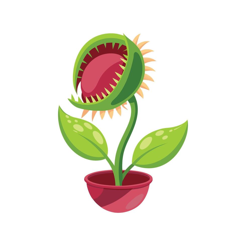Charming Carnivorous Plant Floral Artwork vector