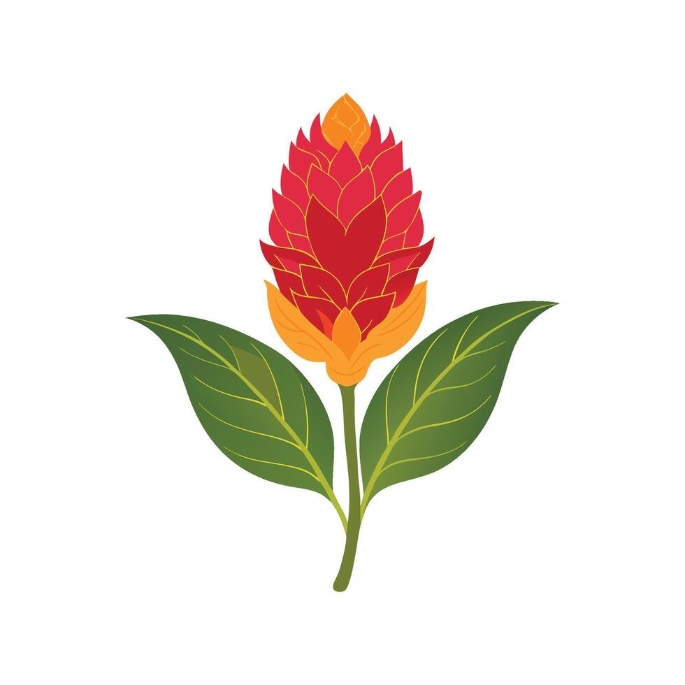 Elegant Celosia Floral Design vector