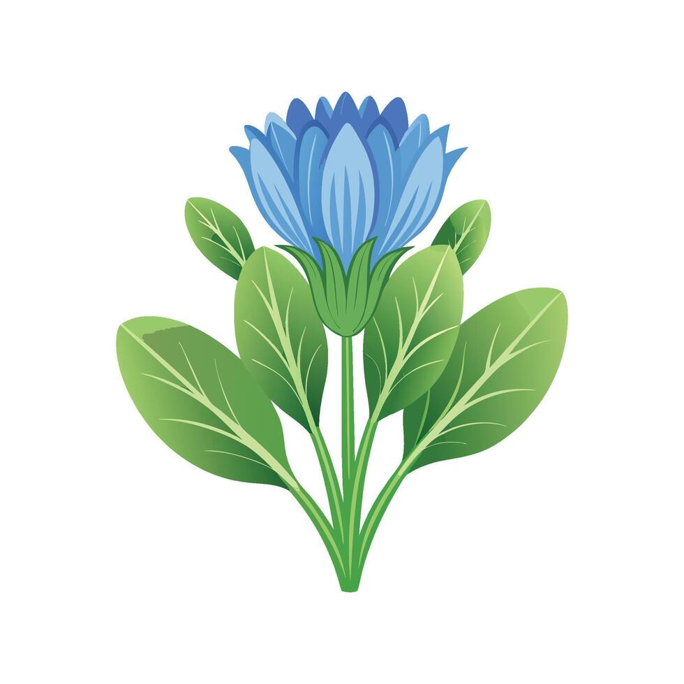 Beautiful Chicory Flower Artwork vector