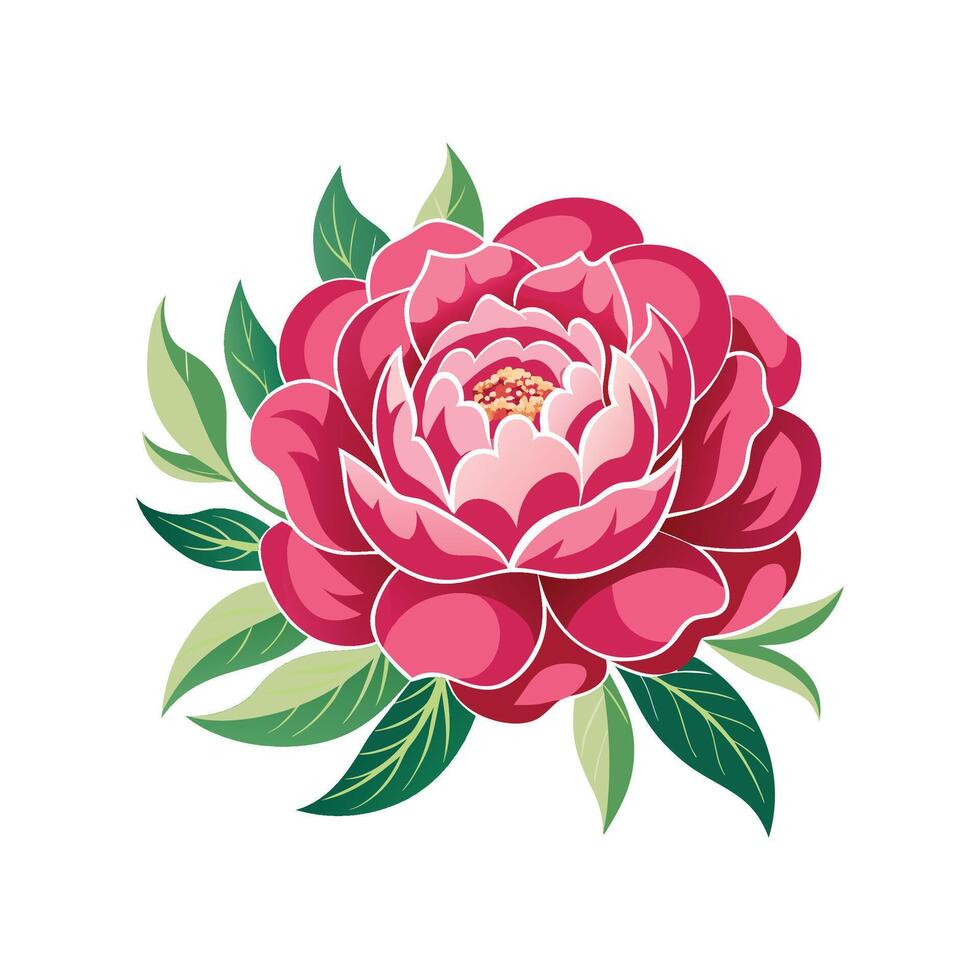 Elegant Chinese Peony Floral vector
