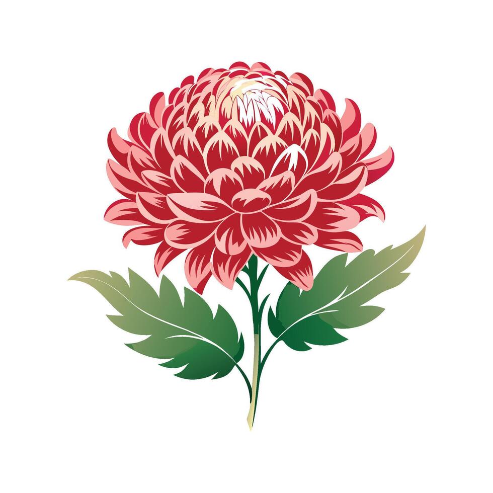 Stunning Chrysanthemum Floral Design vector