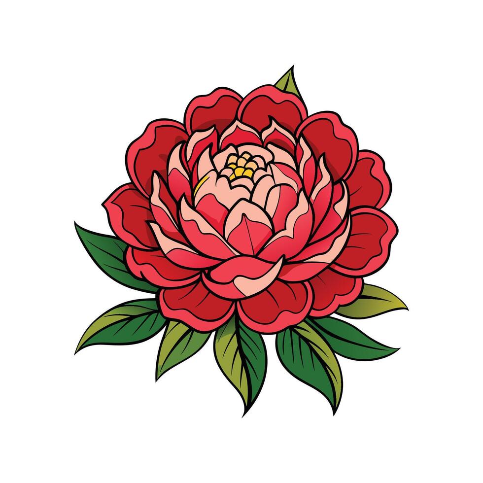 Charming Chinese Peony Plant Illustration vector