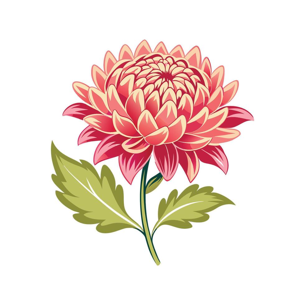 Beautiful Chrysanthemum Flower Art vector